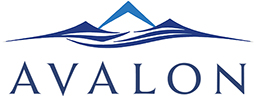 Avalon DigiTech